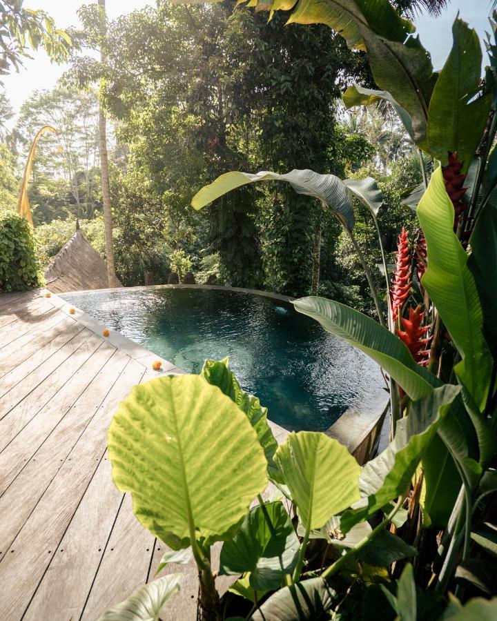 Basundari Retreat Ubud Hotel Ngoại thất bức ảnh
