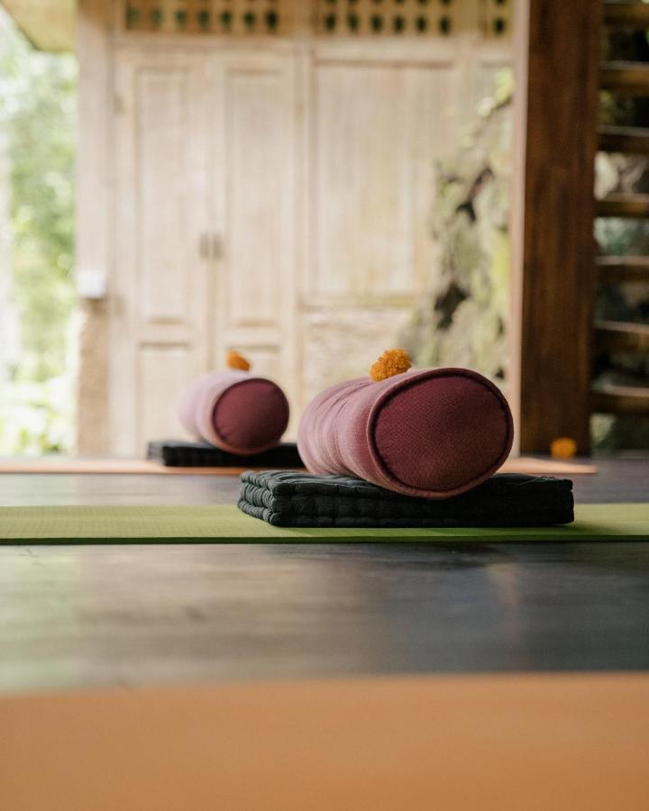 Basundari Retreat Ubud Hotel Ngoại thất bức ảnh