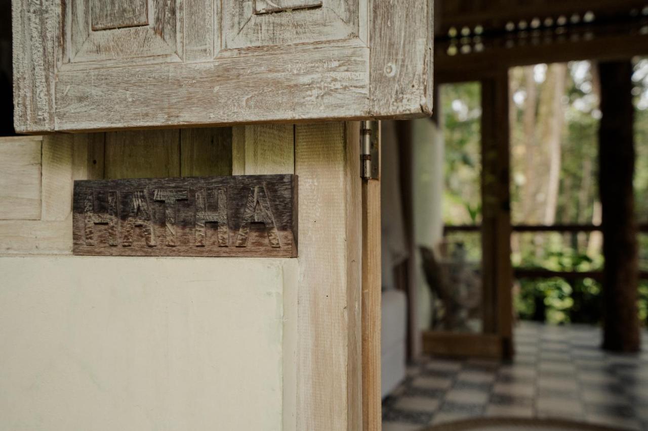Basundari Retreat Ubud Hotel Ngoại thất bức ảnh
